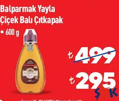 BALPARMAK YAYLA ÇİÇEK BALI ÇIT KAPAK 600 G